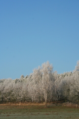 Winterlandschaft Winterlandschaften Romantisch